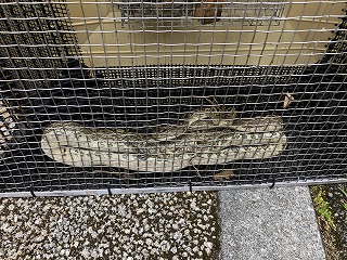 城億中ハブ１