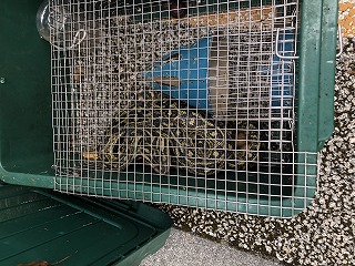 久場川公園予定地１