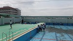 ５月１９日　プール清掃