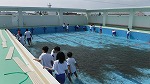 ５月１９日　プール清掃