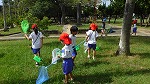 ７月１４日　虫取り体験（１学年）の様子です。