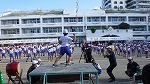 １１月5日　運動会の様子（応援）です。