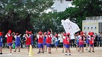 運動会（11/6）の様子です。