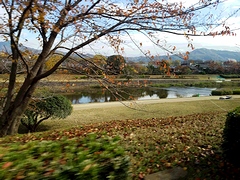 鴨川河川敷，