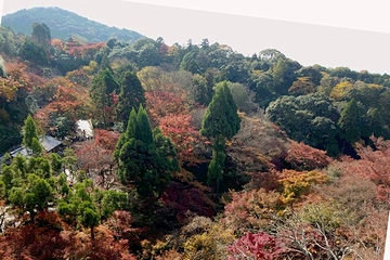 こんな眺め，場所はちがうが絶景かな。